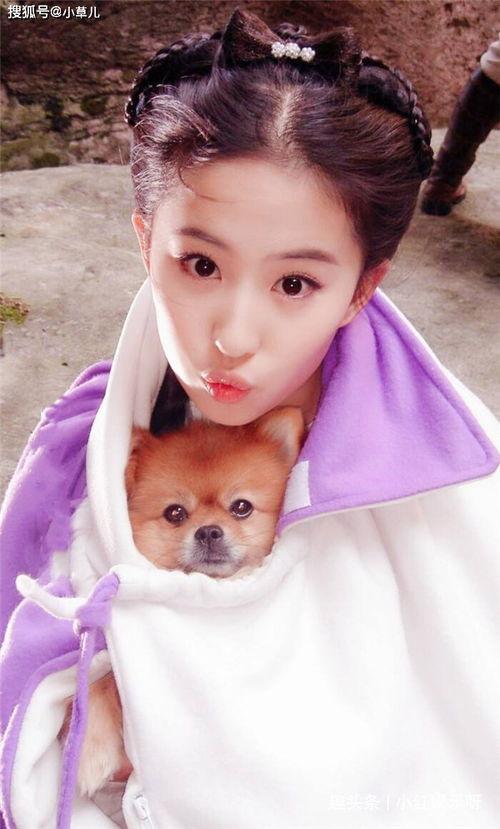 明星网红好感度图片,人气榜单大揭秘