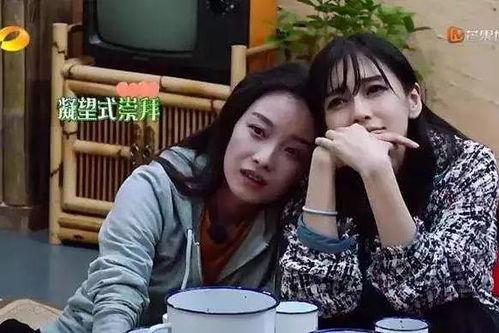 明星网红小孩综艺有哪些,盘点热门综艺中的明星网红小孩