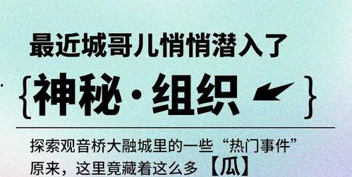 小说今日宜吃瓜