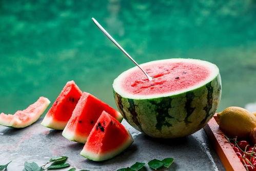 小说今日宜吃瓜