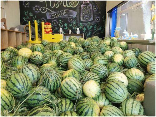 惠州今日吃瓜新闻报道最新,揭秘网红美食背后的秘密！