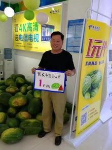 惠州今日吃瓜新闻报道最新,揭秘网红美食背后的秘密！