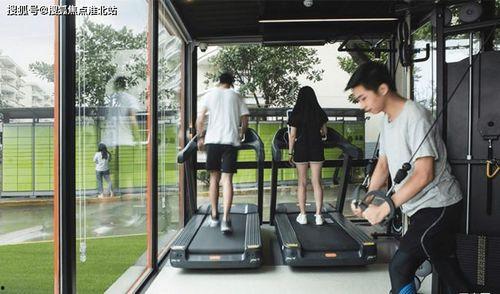 今日七叶瓜价格行情最新