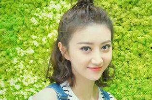 东北明星网红那么多,东北明星网红现象解析