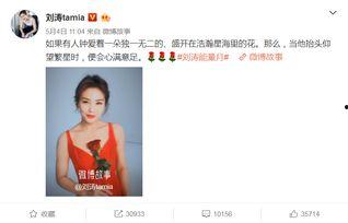 呼叫全网明星网红是谁,探寻热门网红背后的故事