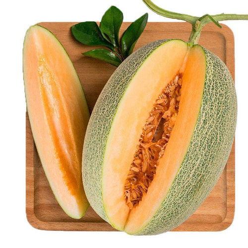 小蜜瓜今日价格表最新,今日市场行情一览