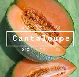 小蜜瓜今日价格表最新,今日市场行情一览