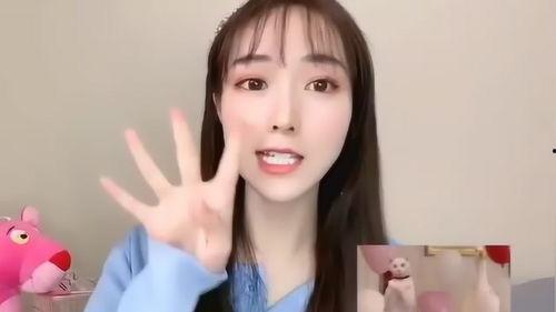 明星网红打造方案有哪些,揭秘成功之路