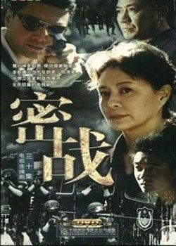 密战电视剧,隐秘战线上的生死较量