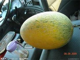 哈密瓜产地今日行情,新鲜上市，价格波动解析