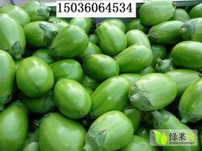 韩寺瓠瓜今日价格,价格行情一览”