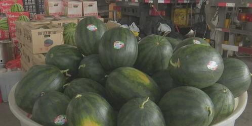 今日鲜瓜最新价格行情