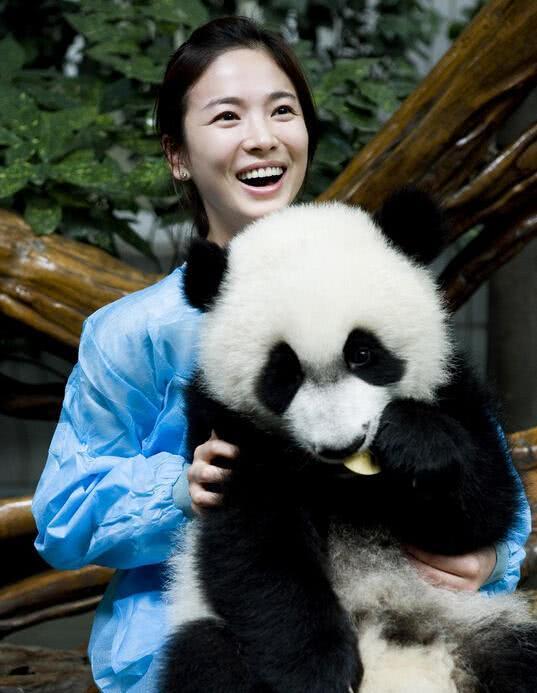 熊猫明星网红排名前十,盘点熊猫明星网红前十风采