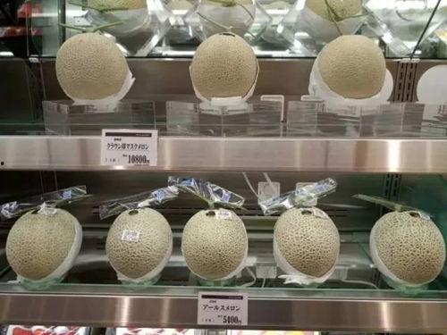 网纹瓜今日价格行情