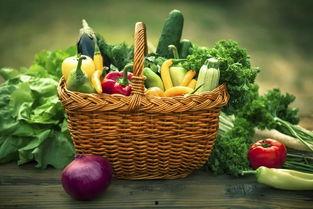 蔬菜蒲瓜今日行情