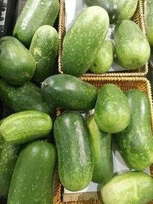 蔬菜蒲瓜今日行情