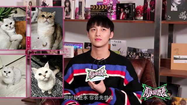 搞笑新闻明星网红视频播放,网友直呼笑到肚子疼