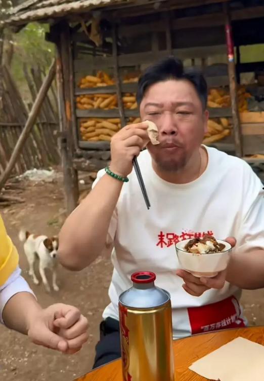 明星网红塌房视频大全