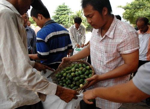 水瓜今日收购价是多少,行情波动，价格几何？”