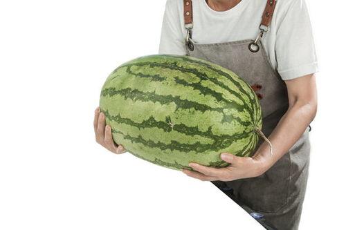 今日赣州石头瓜价格,品质佳、价格稳，消费者青睐有加”