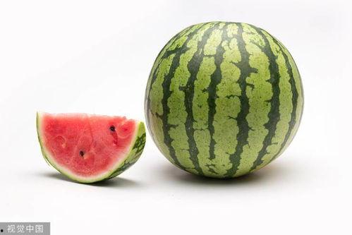 51热门大瓜今日大瓜网,今日大瓜网独家揭秘娱乐圈最新热点