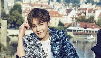 卖字画明星网红是谁,揭秘卖字画明星网红的崛起之路