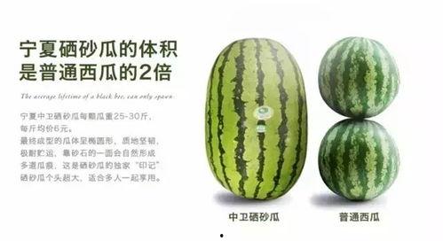 今日硒砂瓜行情,硒砂瓜市场行情实时解析