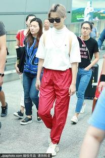 鲨鱼裤明星网红图片高清