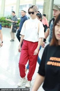 鲨鱼裤明星网红图片高清