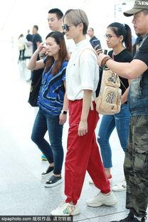 鲨鱼裤明星网红图片高清