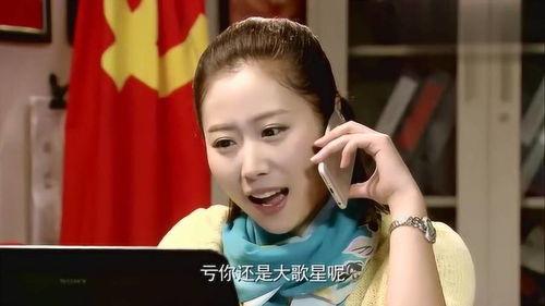 我们村的明星网红小说,网红小说中的田园生活传奇