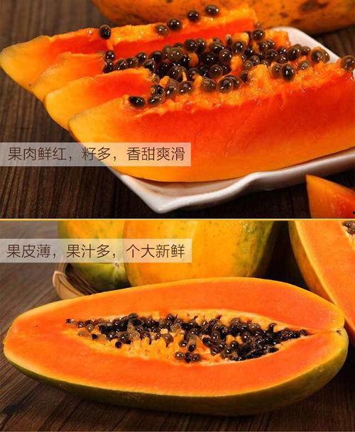 今日团瓜价,实惠与品质的完美结合