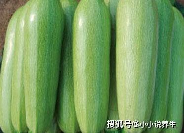 广西西葫芦瓜今日价格,市场行情一览”