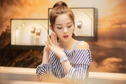 是明星网红的人有哪些,揭秘当红明星与网红的璀璨阵容