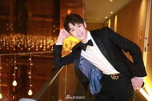 英俊潇洒优秀明星网红,英俊潇洒，优秀明星网红的风采展现