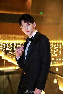 英俊潇洒优秀明星网红,英俊潇洒，优秀明星网红的风采展现