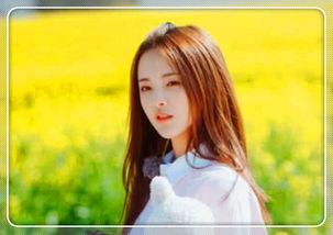 套路明星网红是谁啊,揭秘套路明星网红背后的真相