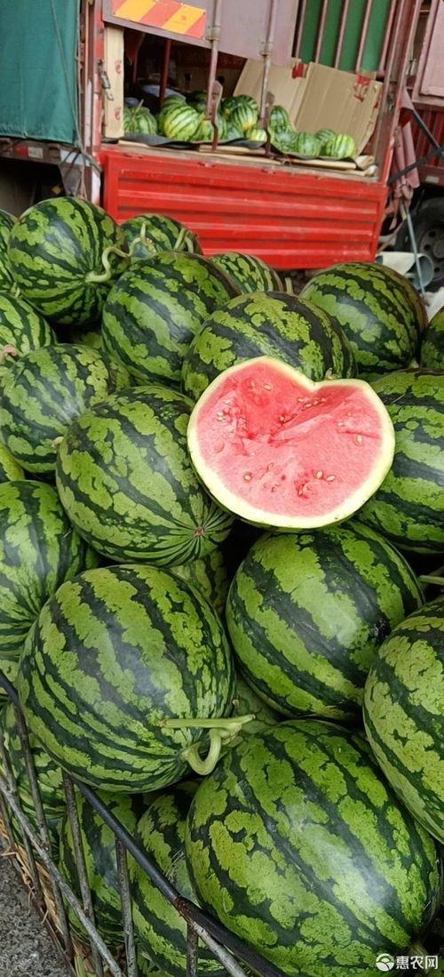 满堂红麒麟瓜今日报价,新鲜上市，品质保证！”