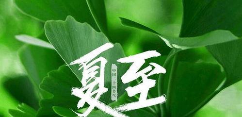 今日夏至吃瓜赏花的视频