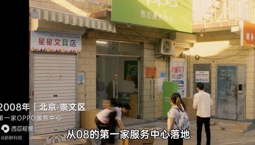 曲靖茭瓜厂今日视频,丰收景象与产业升级并行