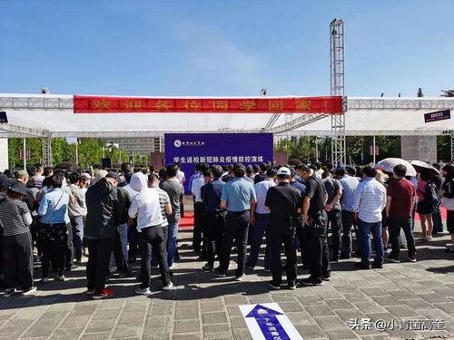 曲靖茭瓜厂今日视频,丰收景象与产业升级并行