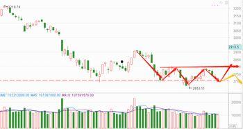 今日白瓜行情走势,今日波动解析与趋势展望