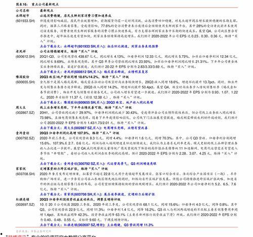 今日白瓜行情走势,今日波动解析与趋势展望