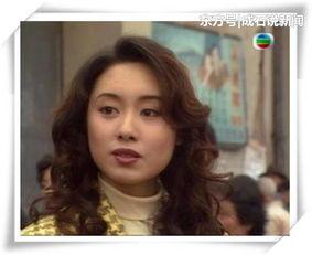 明星网红搭档视频大全集