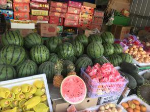 郑州小白瓜今日价格,实惠之选，市民抢购热潮