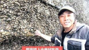 明星网红阿锋是谁,从明星到网络红人的蜕变之路