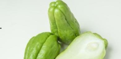 今日种植佛手瓜