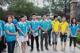 今日卖瓜新闻,卖瓜新闻背后的热点解析