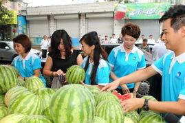 今日卖瓜新闻,卖瓜新闻背后的热点解析